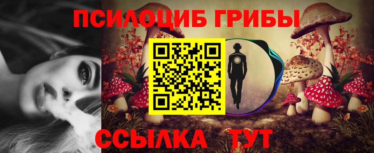 Псилоцибиновые грибы Magic Shrooms Нижний Тагил