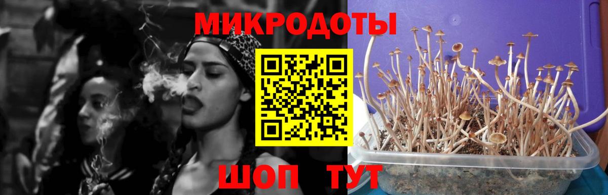 Нижний Тагил  цены наркотик  Вход с VPN  Галлюциногенные грибы Psilocybine cubensis 